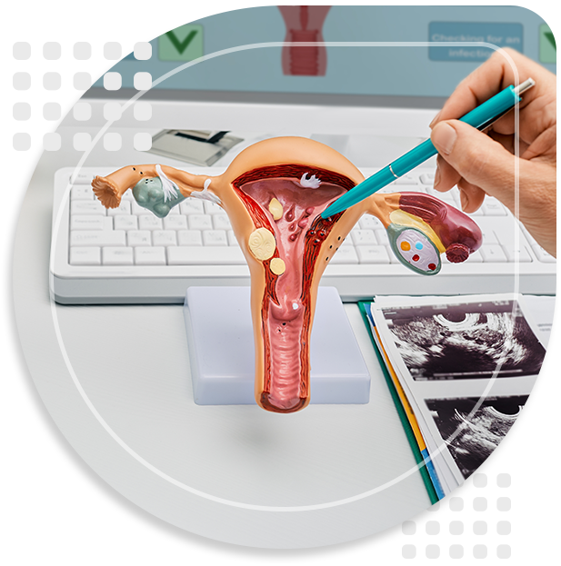 Female-Checkup-Gynecology